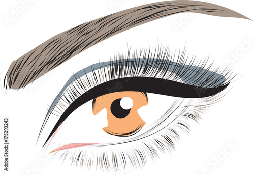 Beautiful hazel brown woman eye with long eyelashes Vector illustration
