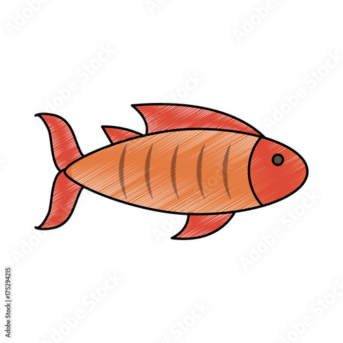 Delicious fresh fish icon vector illustration graphic design
