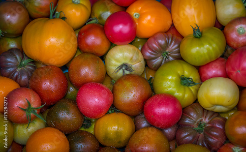 Organic heirloom tomatoes for sale at market