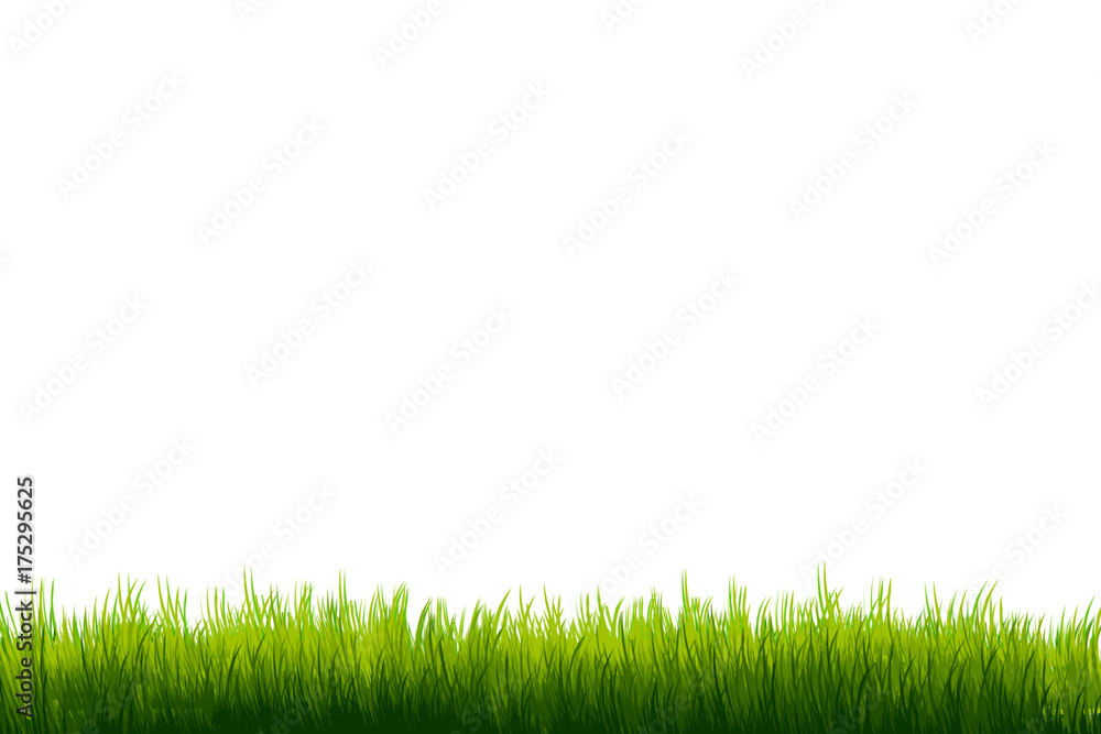 Grass on white copy-space background template Grass on white copy-space background template