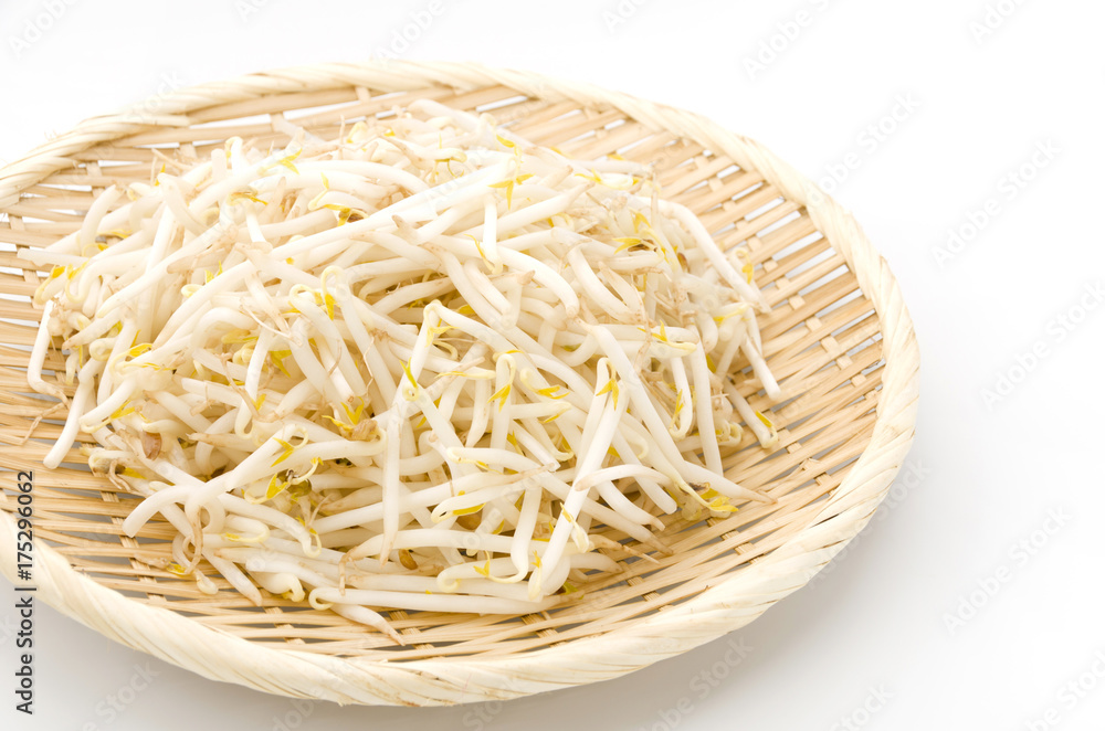 もやし もやし