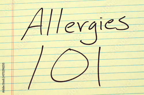 Fotótapéta The words Allergies 101 on a yellow legal pad