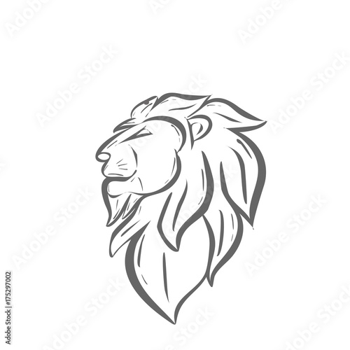 Head lion art