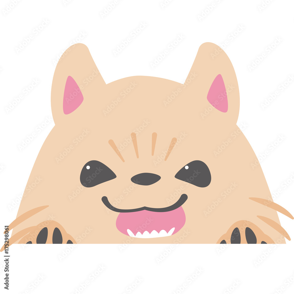 ひょっこりと顔を出す犬 ポメラニアン Stock イラスト Adobe Stock