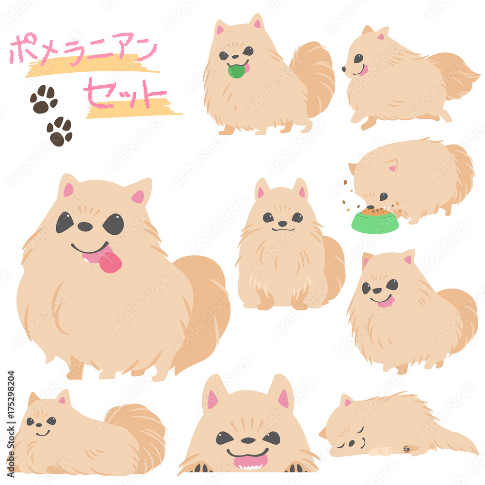 ポメラニアンセット Stock イラスト Adobe Stock