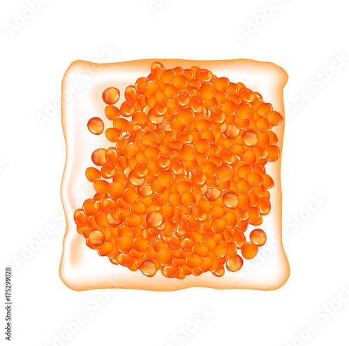 Bread with red caviar. Vector.. Vector.