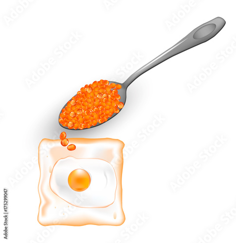Spoon with red caviar. Vector. Bread with egg.