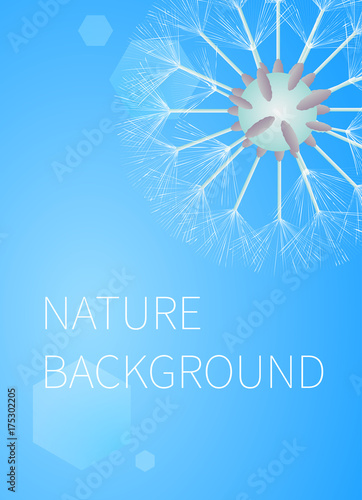 Fototapeta Naklejka Na Ścianę i Meble -  Blue summer flyer with dandelion