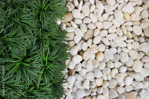 Photography Pebbles and Grass background