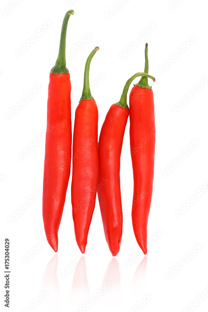red hot chili pepper4