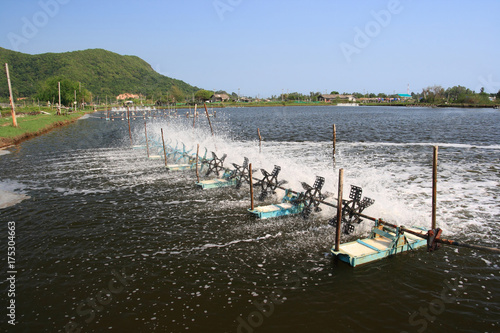 Water treatment of shrimp farm1