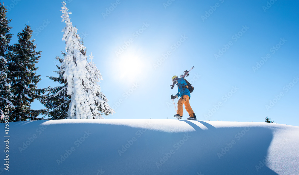 Male skier walking on top of the mountain with his skis on his shoulder on a sunny winter day sunlight nature recreation skiing downhill lifestyle sportive concept Male skier walking on top of the mountain with his skis on his shoulder on a sunny winter day sunlight nature recreation skiing downhill lifestyle sportive concept