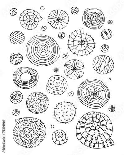 Abstract design elements, spirals and circles sketch