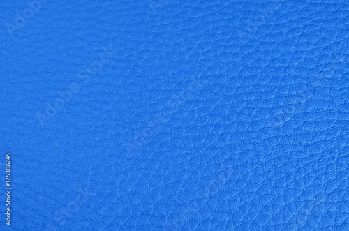 Texture of skin of the animal blue Background color.