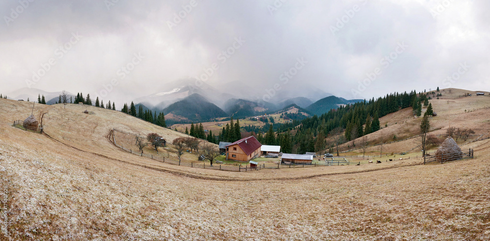 Panorama of a mountain village with young sheep that graze on the farm in autumn. Sheep graze on a pasture, powdered with snow against the backdrop of the mountains.