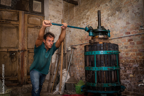 Tableau sur toile Shirtless winemaker farmer working on a traditional wine press