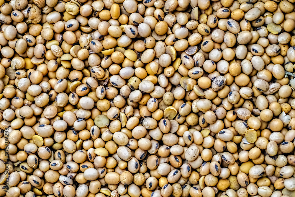 Chickpeas texture Chickpeas texture