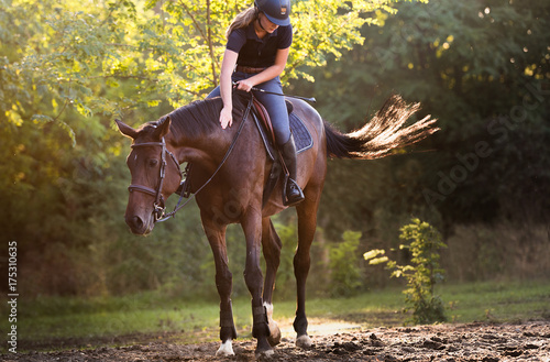 Young pretty girl riding a horse with backlit leaves behind photo