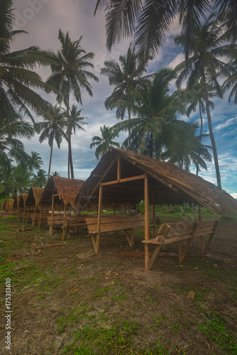 coconut trees © dhsirirui