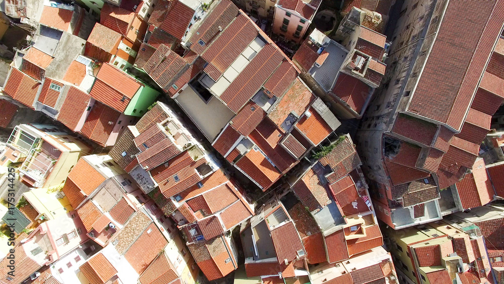Roofs of Bossa Roofs of Bossa