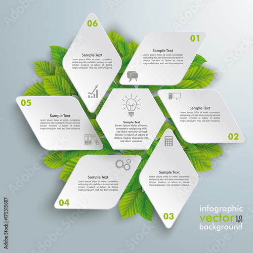 Rhombus Hexagon Eco Infographic Green Leaves