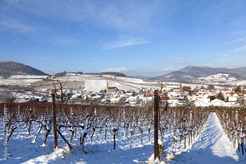 Fototapeta premium Winter in der Südpfalz