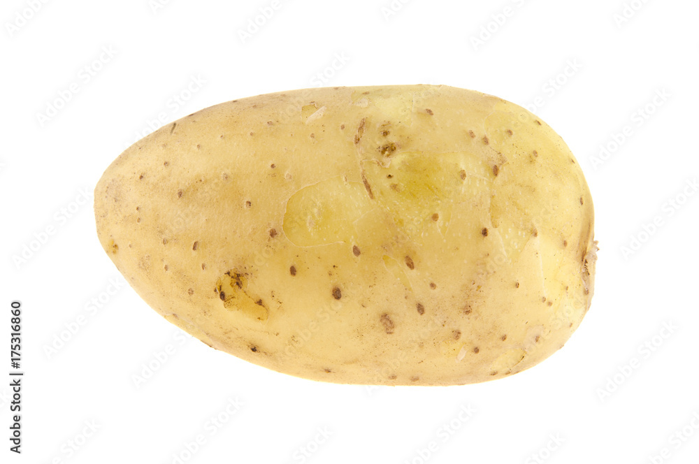 Potato isolated on white background closeup