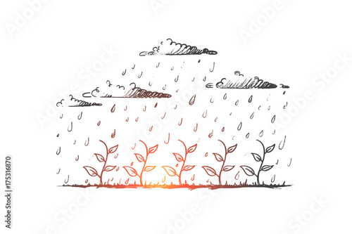 Seedling concept. Hand drawn young plant watered by rain. Seedling growth isolated vector illustration.