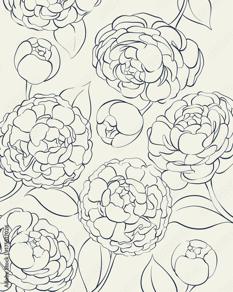 Peonies in black and white Peonies in black and white