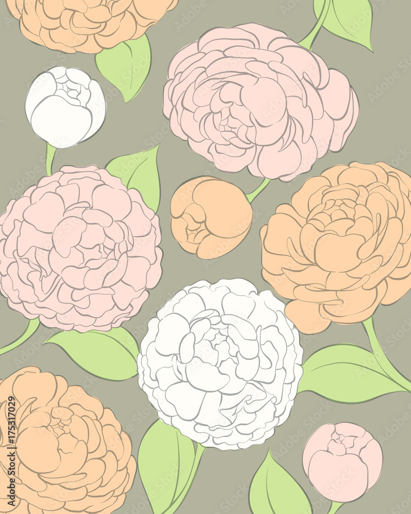 Delicate peonies on a dark background Delicate peonies on a dark background