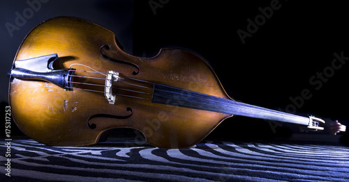 Canvas-taulu Double Bass on side