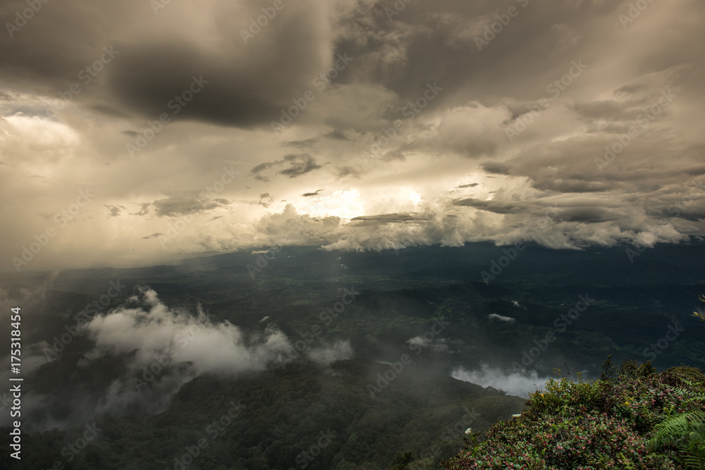 Tropical Rainforest in doi inthanon national park the morning light landscape view (Rainforest), Thailand