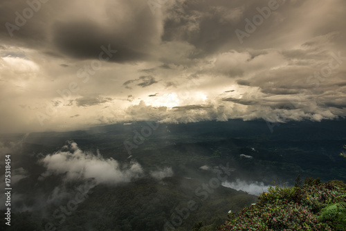 Tropical Rainforest in doi inthanon national park the morning light landscape view (Rainforest), Thailand