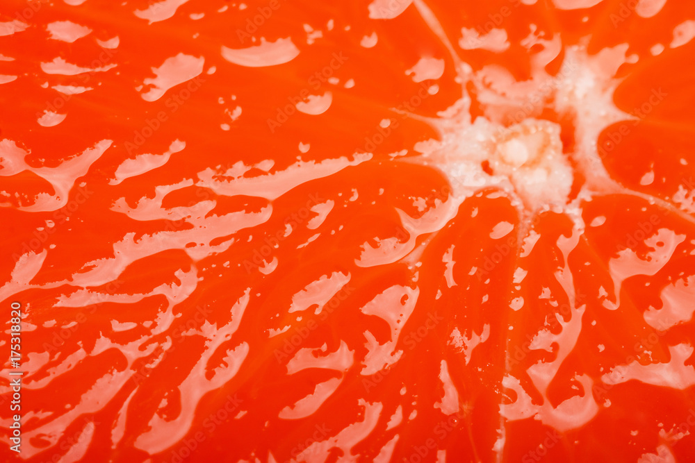 grapefruit in close up grapefruit in close up