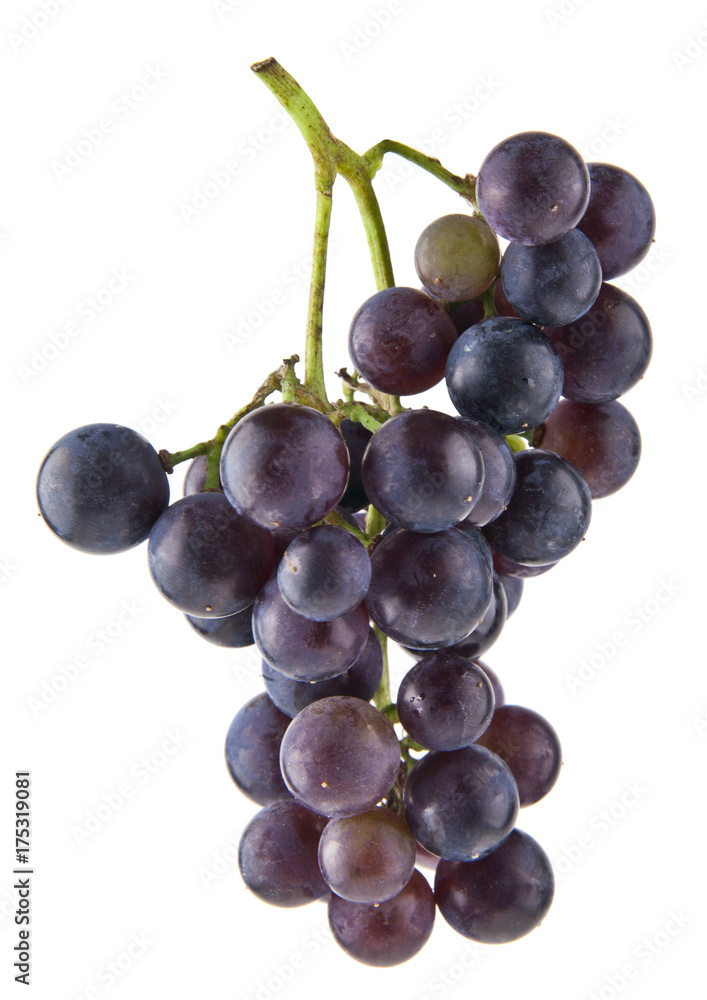 Fototapeta premium grapes isolated on white background closeup