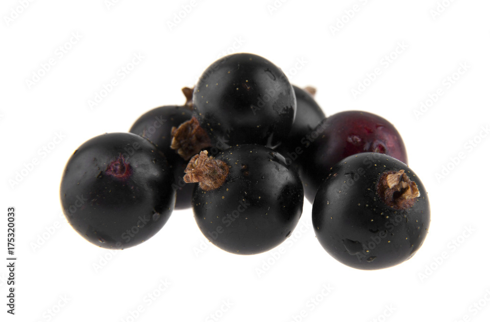 black currant isolated on white background closeup black currant isolated on white background closeup
