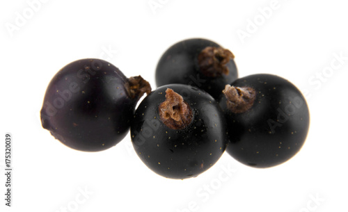 black currant isolated on white background closeup