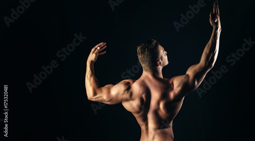 Fotografie Bodybuilder man with muscular torso back and hands