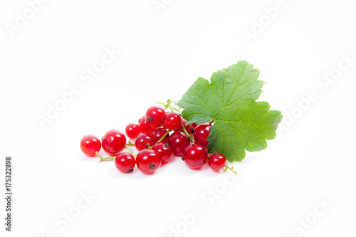 Red currant berry isolated on white. A bunch of red currant..