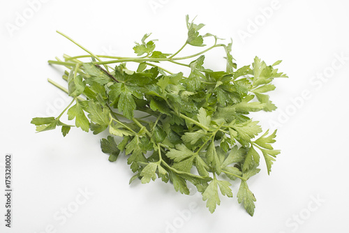 Parsley on white background. Isolated.