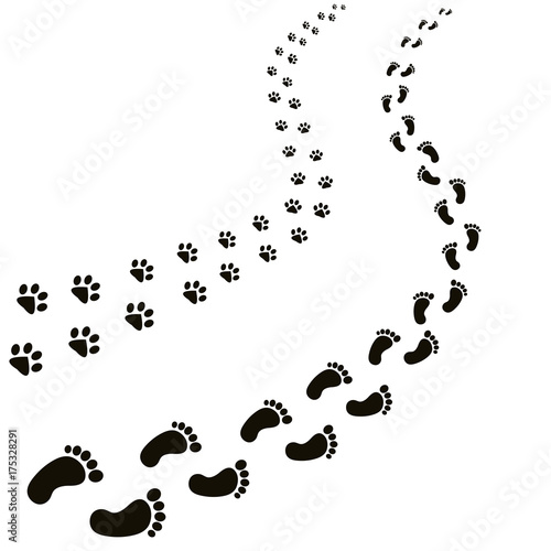 animal and human footprints isolated in white