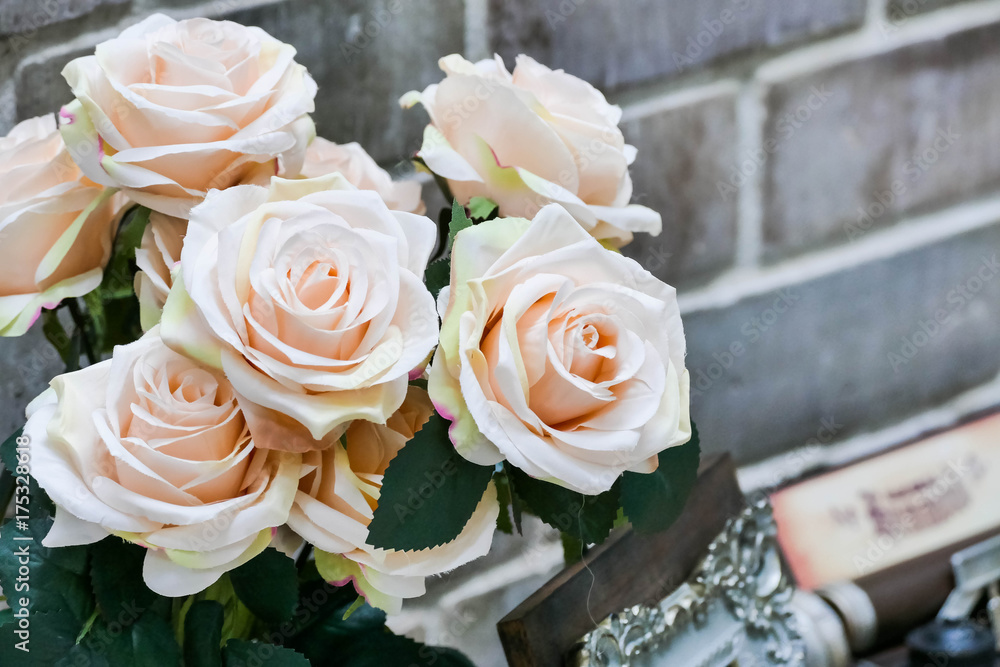 Obraz premium Pink roses