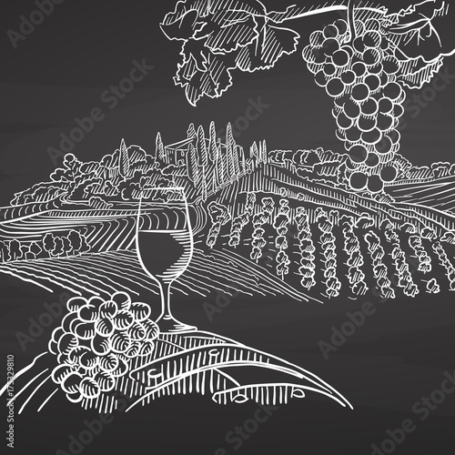 Vintage wine and landscape on chalkboard