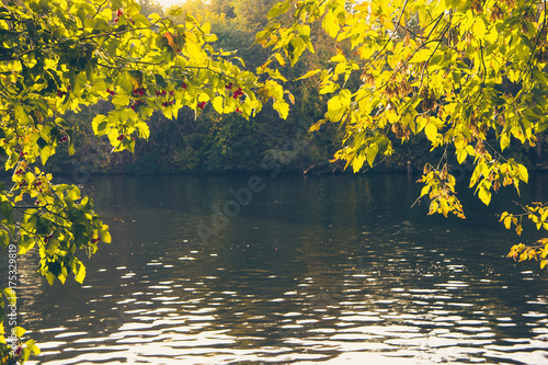 Canvas-taulu Branches of fruited three-leaf maple and haw thorn framing the Moscow river