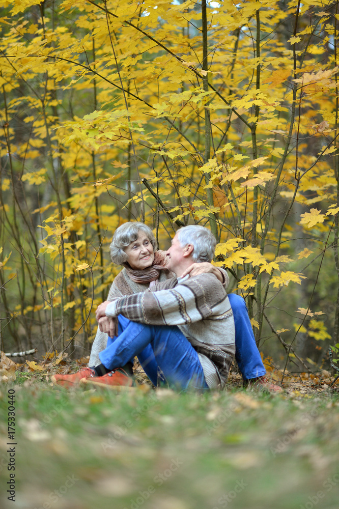 senior couple  sitting on leaves 
