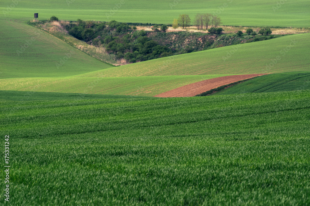 South Moravia is located in the south-western part of its historical region of Moravia in Czech republic. It is a magical place nicknamed the Czech Tuscany