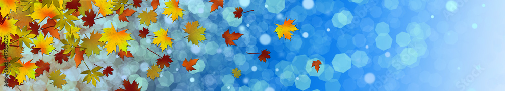 autumn leaves on ice, autumn background
autumn leaves on ice, autumn background