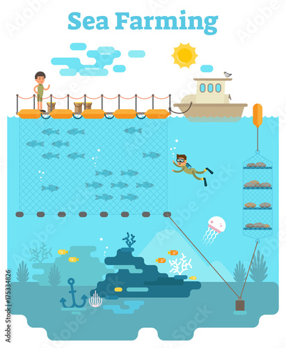 Sea Farming - Aquaculture concept illustration with growing fish and other sea products underwater