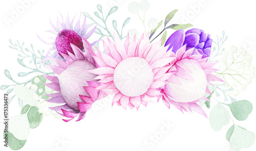 Photos King Protea Exotic Flowers Bouquet Watercolor