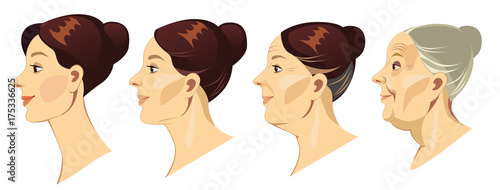 face of woman in profile at different ages, vector illustration, human face in different periods of life, young girl, middle-aged woman, elderly woman